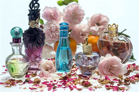 cosa vuol dire eau de toilette|La differenza tra Eau de Toilette, Eau de Parfum, Parfum ed Eau .